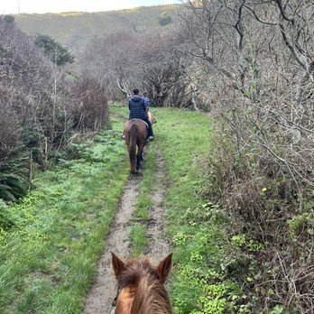 Five Brooks Ranch - Riding horses piper & Hannah - Horseback Riding Near Me - Olema, California