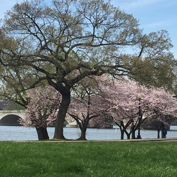Tidal Basin - Lakes Near Me - Washington, DC, District of Columbia Tidal Basin - Lakes Near Me - Washington, DC, District of Columbia