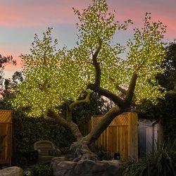 The Enchanted Manor - Tree with the lights dimmed