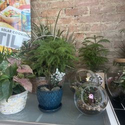 Cincinnati Hemp Company