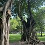 Photo of Pine Tree Park