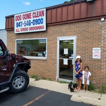 Dog Gone Clean - Love local businesses! - Pet Groomers Near Me - Round Lake Heights, Illinois Dog Gone Clean - Love local businesses! - Pet Groomers Near Me - Round Lake Heights, Illinois