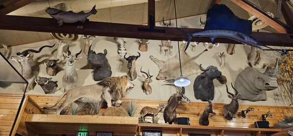 Granzella's Restaurant by null