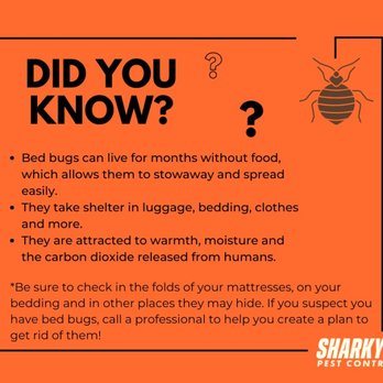 Sharky's Pest & Termite Control - Pest Control Near Me - Lynchburg, Virginia Sharky's Pest & Termite Control - Pest Control Near Me - Lynchburg, Virginia