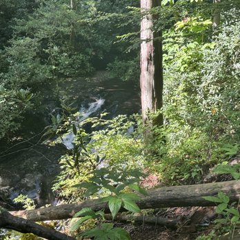 Raven Cliffs Trailhead - Hiking Near Me - Helen, Georgia