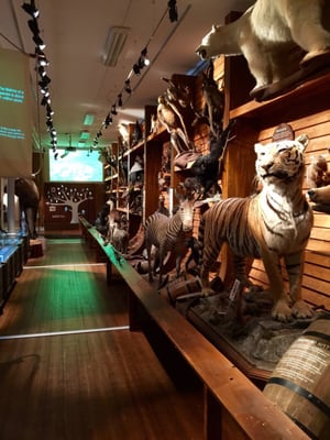 NTNU Vitenskapsmuseet by null