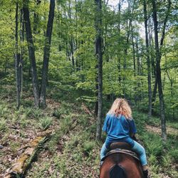 Summit Trail Rides