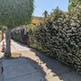 Photo of Growing Garden Wonderschool