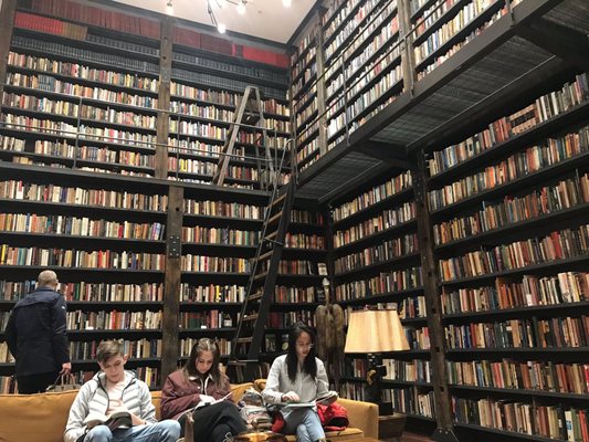 Stony Island Arts Bank by null