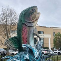 Blue Ridge Playground - Trout