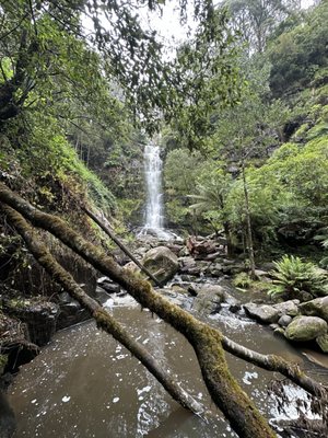 Erskine Falls by null