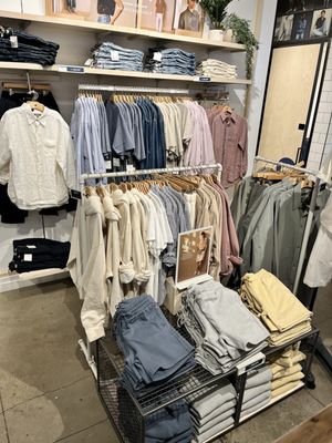 American Eagle by null