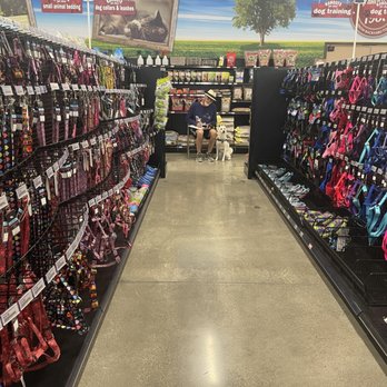 Kahoots Pet Store - Pet Stores Near Me - Temecula, California