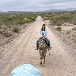 Saguaro Stables