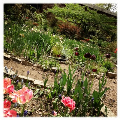 Hua Mei Bird Garden by null