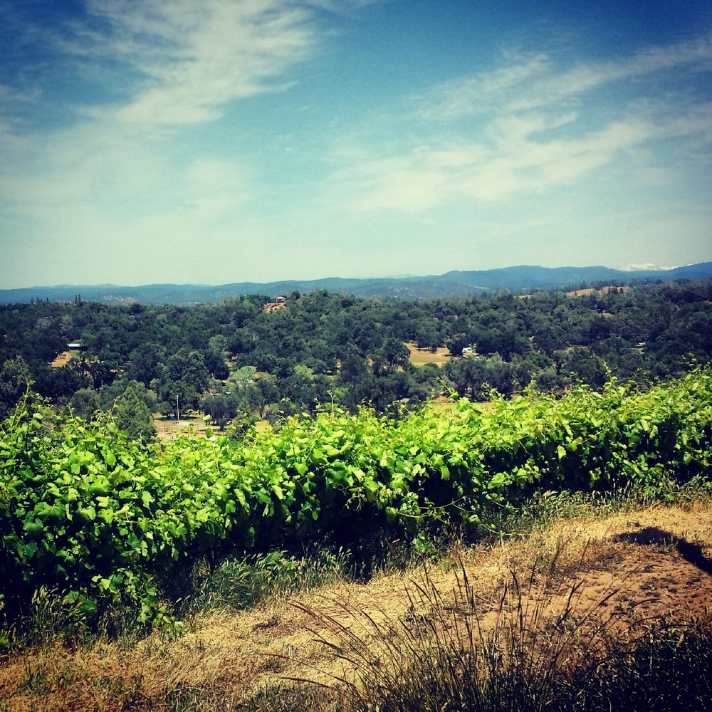 Chateau Routon - Can't beat the view! - Wineries Near Me - Fair Play, California