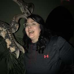 A flippin velociraptor.