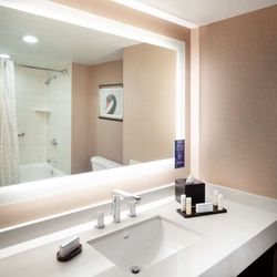 Embassy Suites by Hilton Houston Near the Galleria - Guest room bath
