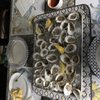 Clam Hunter Seafood gift card