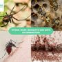 Photo of Wise Pest Control