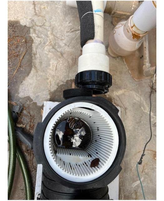 POOLTECHS 860 Whitney Mesa Dr, Henderson, Nevada Pool Cleaners