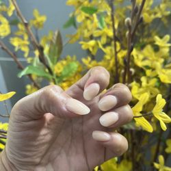 Elegant Nails