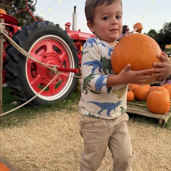 Goff Family Pumpkin Patch - Pumpkin Patches Near Me - San Diego, California Goff Family Pumpkin Patch - Pumpkin Patches Near Me - San Diego, California