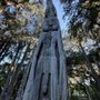 Photo of Papua New Guinea Sculpture Garden at Stanford