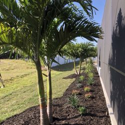 Myakka Landscape & Design - Two double Christmas palms on each corner and a nice triple in the middle behind our spa-the focus of the pool design...