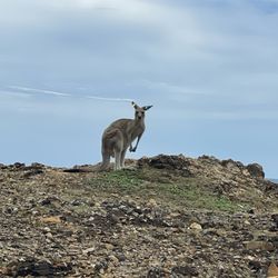 Moonee Beach Nature Reserve