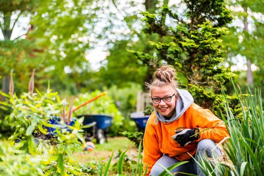 BLADES OF GRASS LANDSCAPING Updated August 2024 Request a Quote