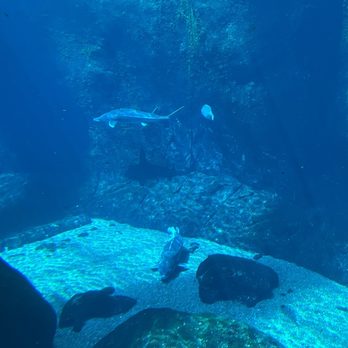 Biodôme de Montréal - Aquariums Near Me - Montreal, Quebec Biodôme de Montréal - Aquariums Near Me - Montreal, Quebec