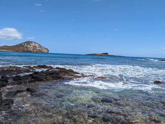 Makapuu Beach Park by null