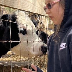 Hooves and Feathers Petting Farm - Ellie loves attention