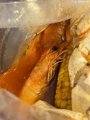 Captain Crab by null