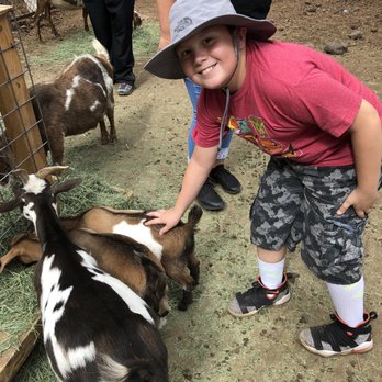 Bearizona - Zoos Near Me - Williams, Arizona