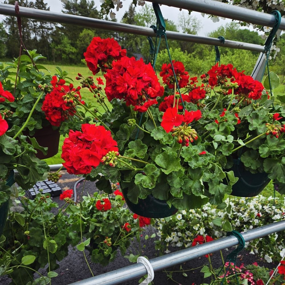 Ferrara's Orchards - beekeeping in Mullica Hill, NJ