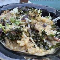 Fratelli - Risotto tartufo
