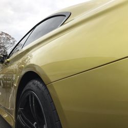 Dent Rx