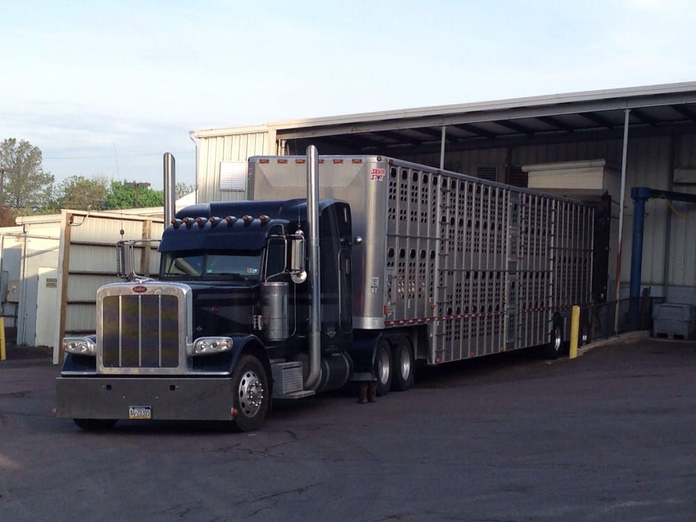 LEIDYS Updated September 2024 266 W Cherry Ln, Souderton