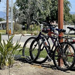 La Tapatia Mexican Grill - From Claremont on the bike trail.
