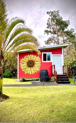 Puna Rainforest Retreat: Hot springs and steam vents by null