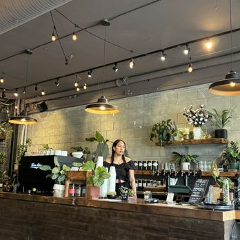 The Garden Strathcona - Cafes Near Me - Vancouver, British Columbia The Garden Strathcona - Cafes Near Me - Vancouver, British Columbia