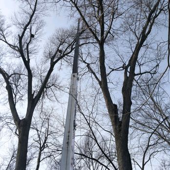 Darrin's Tree Service - Tree Services Near Me - East Hanover, New Jersey Darrin's Tree Service - Tree Services Near Me - East Hanover, New Jersey