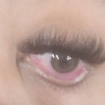 Eyelash Boutique & Co - Eyelash Service Near Me - Las Vegas, Nevada Eyelash Boutique & Co - Eyelash Service Near Me - Las Vegas, Nevada