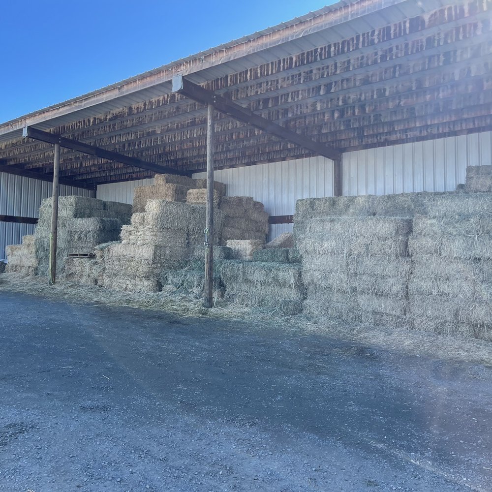 Bay Area Hay and Feed - Oh hayyyyyyy - Pet Stores Near Me - Livermore, California