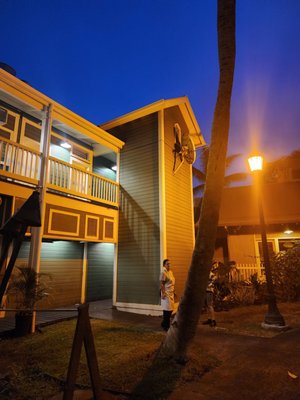 Foster's Kitchen Kona by null