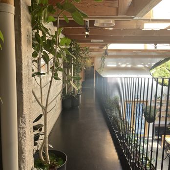 Arcana - Nurseries & Gardening Near Me - San Francisco, California Arcana - Nurseries & Gardening Near Me - San Francisco, California