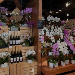 The Fresh Market