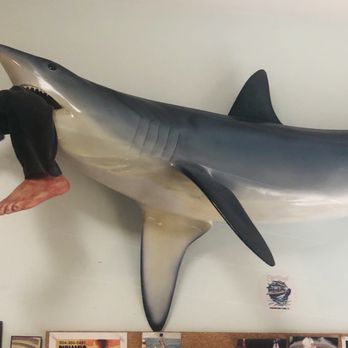 Fish Shack - Seafood Near Me - Lighthouse Point, Florida